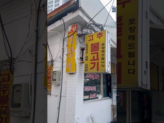 부산 부산대 불고기 방문 영상