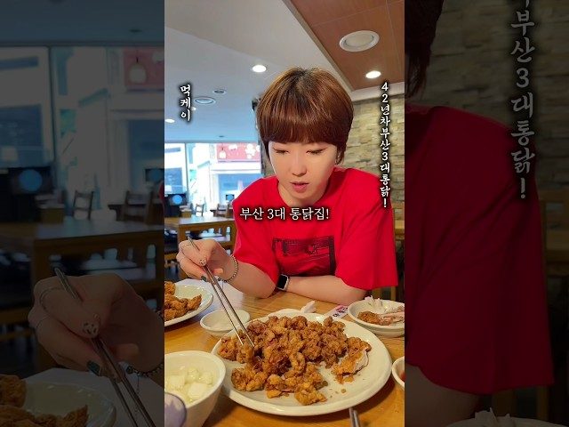 부산 동래 희망통닭 방문 영상