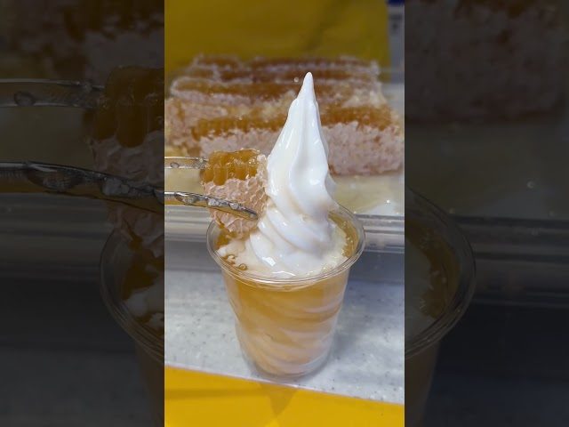 부산 해운대 부산 최초 벌집 아이스크림 허니바 벌 방문 영상