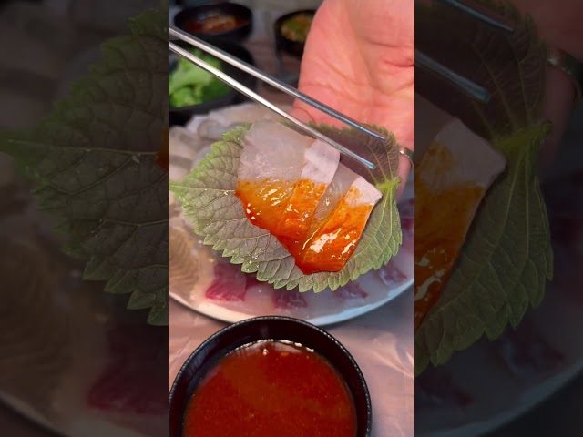 부산 북구 가덕횟집 방문 영상