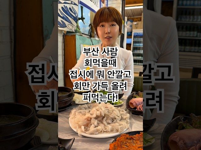 부산 동래 봄도다리 방문 영상
