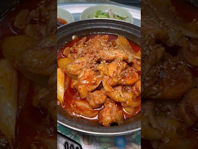 부산 부산대 부광식당 방문 영상