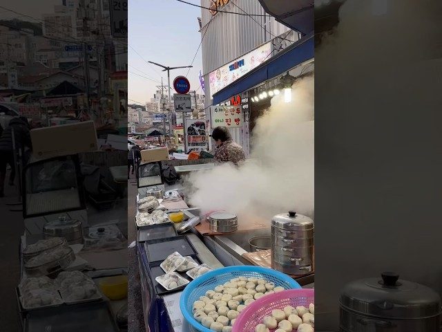 부산 해운대 기장손만두찐빵 방문 영상
