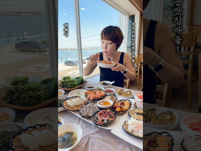 부산 해운대 황금어장 방문 영상